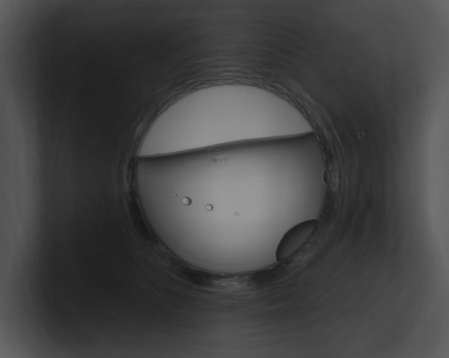 X0000100960516200806241146
