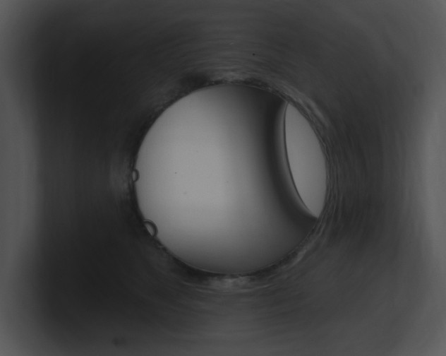 X0000100960517200806241146