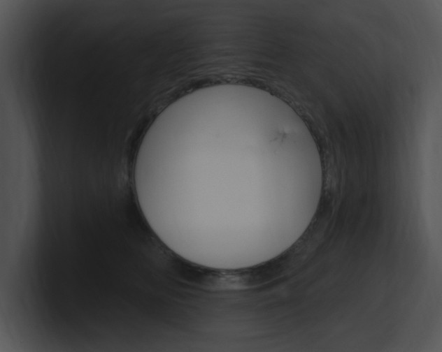 X0000100960518200806241146