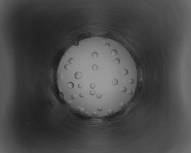 X0000100960519200806241146