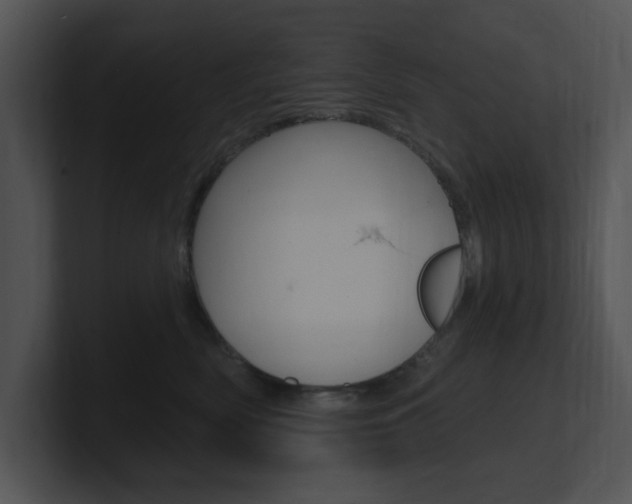 X0000100960522200806241146