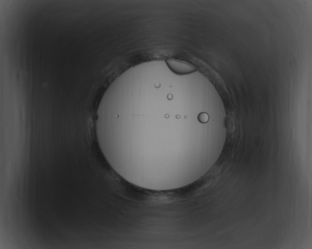 X0000100960523200806241146