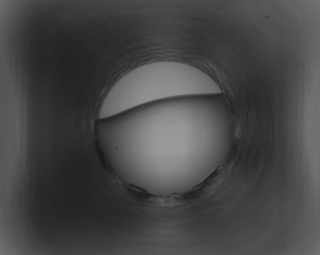 X0000100960524200806241146