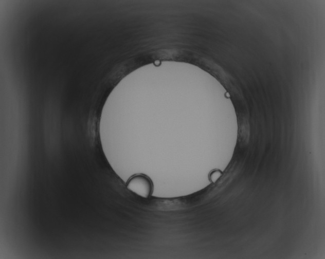 X0000100960525200806241146