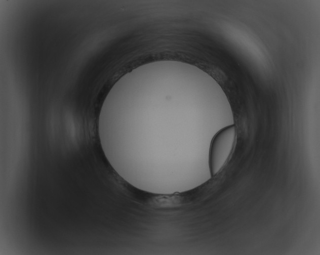 X0000100960526200806241146