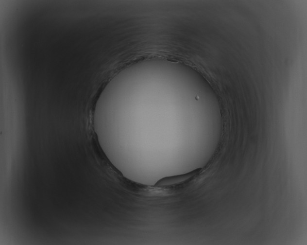X0000100960528200806241146