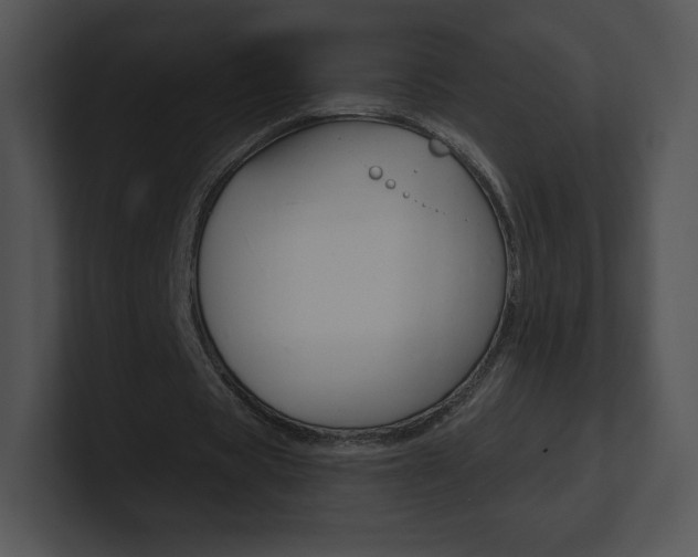 X0000100960529200806241145