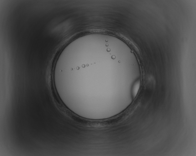 X0000100960533200806241145