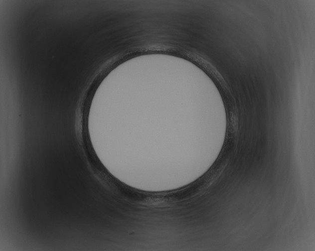 X0000100960534200806241145