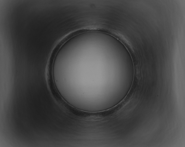 X0000100960536200806241145