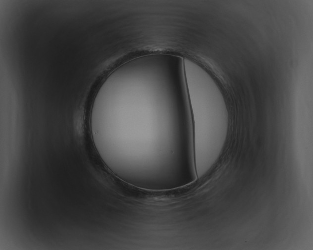 X0000100960540200806241145