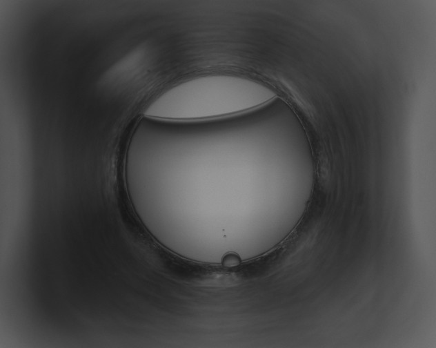 X0000100960543200806241145