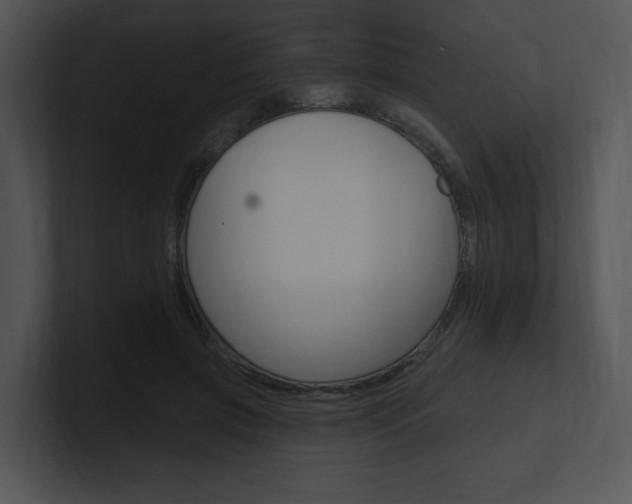 X0000100960549200806241145