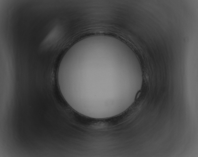 X0000100960551200806241145