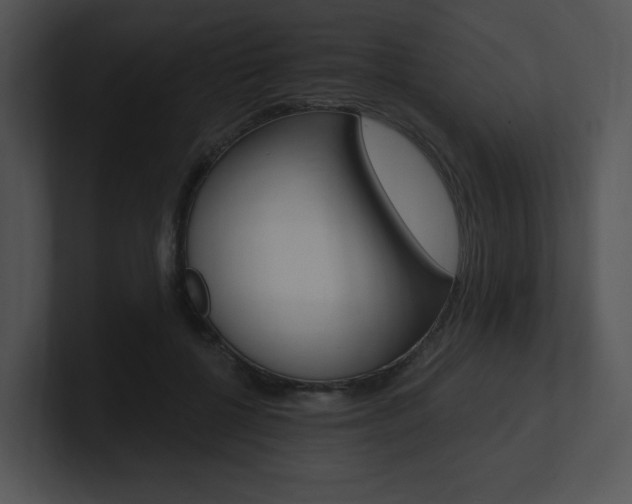 X0000100960552200806241145