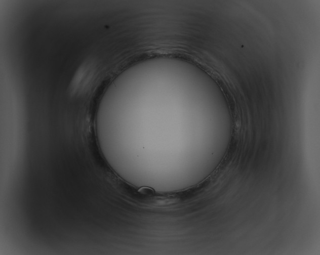 X0000100960555200806241145