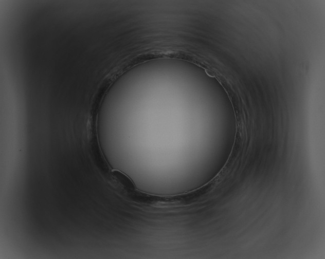 X0000100960556200806241145