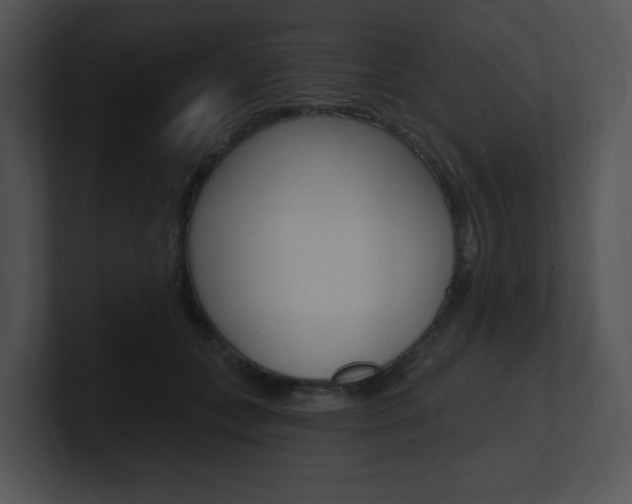 X0000100960559200806241145