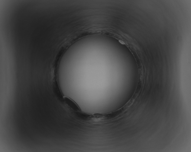 X0000100960560200806241145