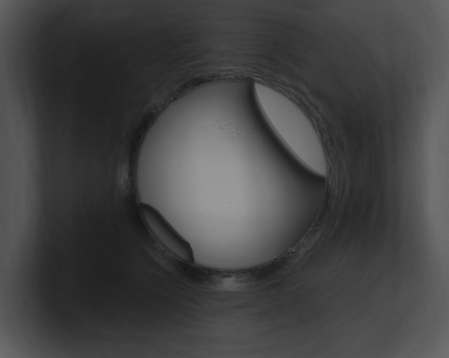X0000100960564200806241146