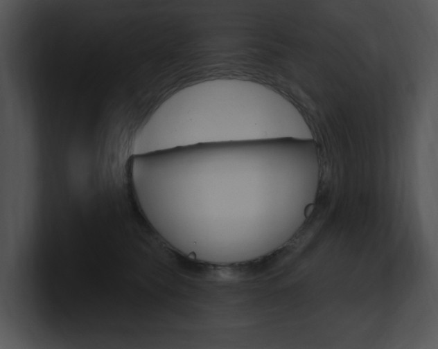 X0000100960565200806241146