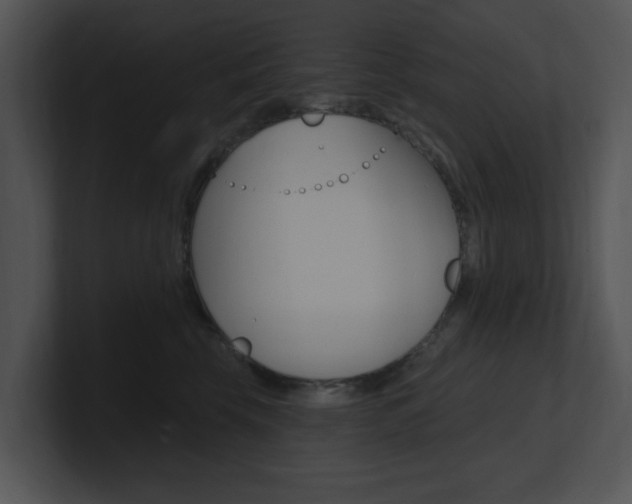 X0000100960569200806241146