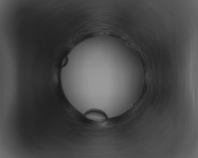 X0000100960570200806241146