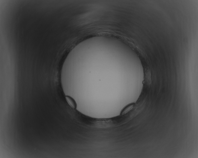 X0000100960571200806241146