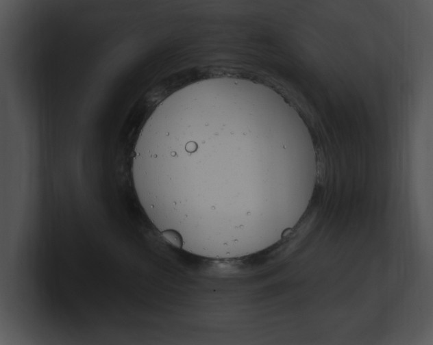 X0000100960573200806241146