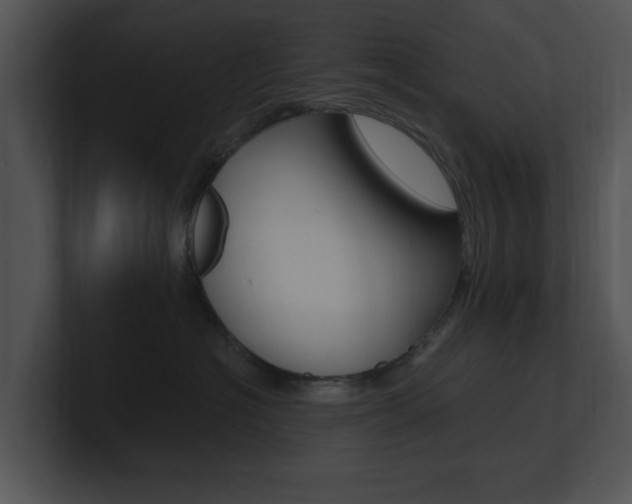 X0000100960574200806241146