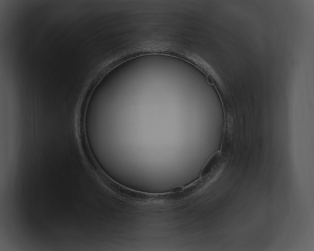 X0000100960581200806241145