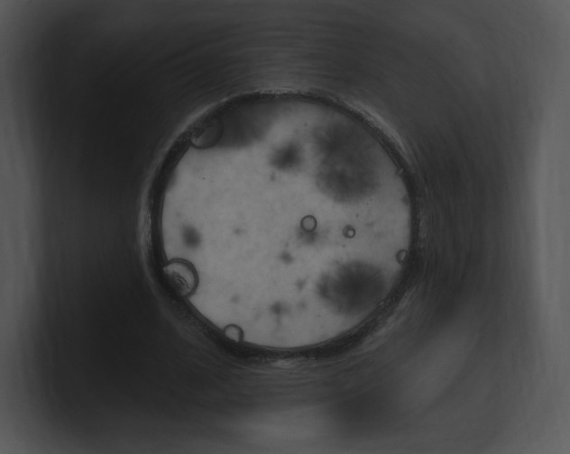X0000100960584200806241145