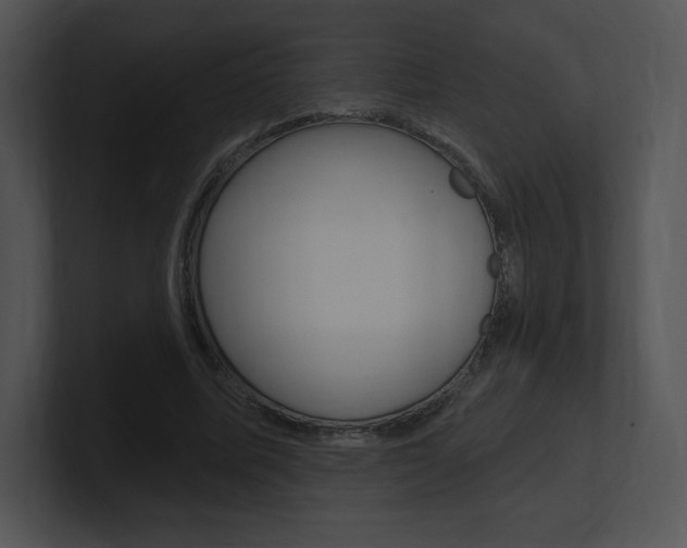 X0000100960587200806241145
