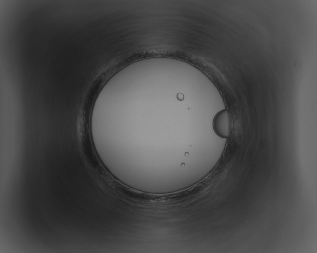 X0000100960591200806241145