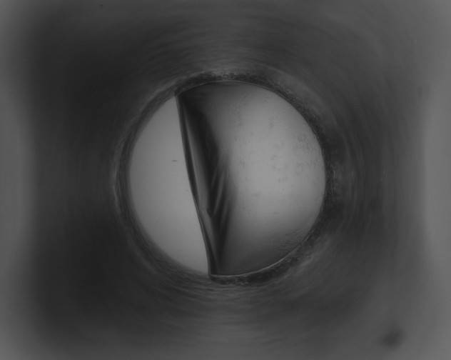 X0000100960592200806241145