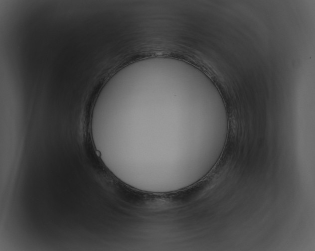 X0000100960594200806241145