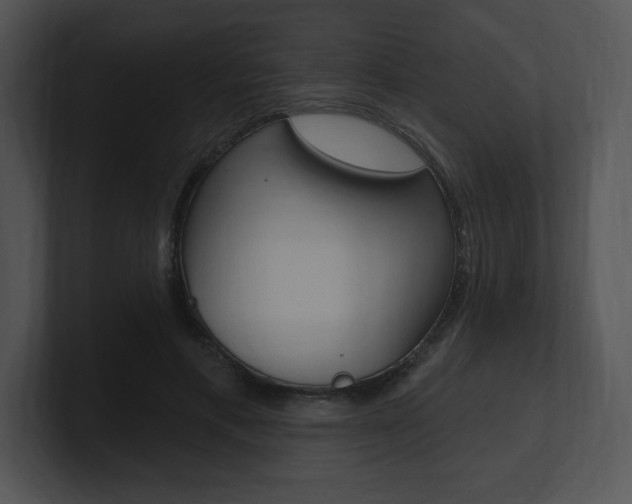 X0000100960597200806241145