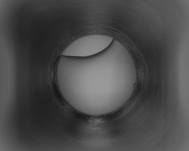 X0000100960602200806241145
