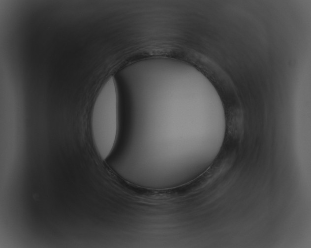 X0000100960604200806241145