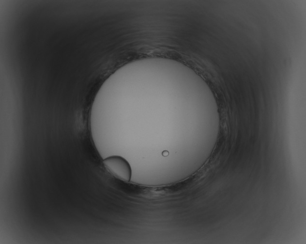 X0000100960607200806241145
