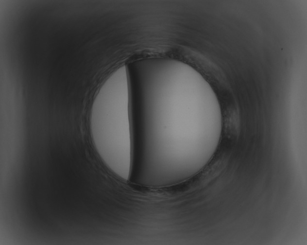 X0000100960608200806241145