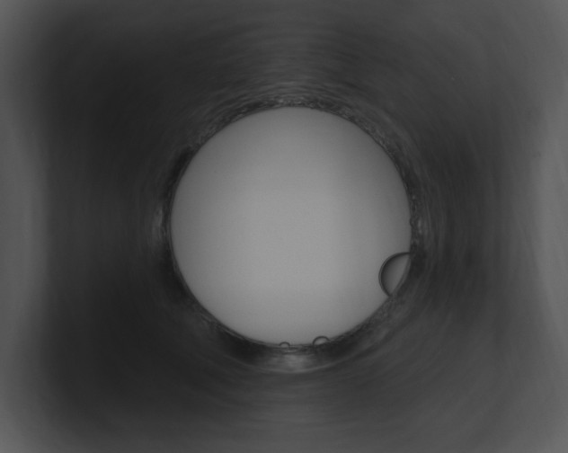 X0000100960610200806241145