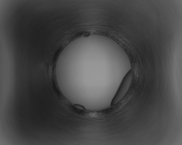X0000100960611200806241145