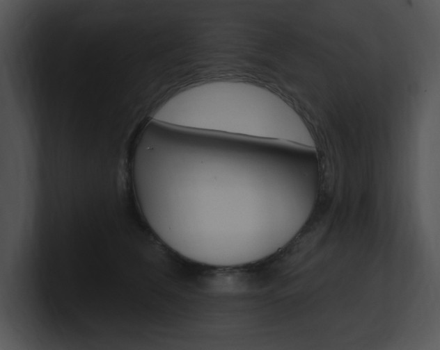 X0000100960612200806241145