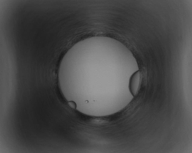 X0000100960614200806241145
