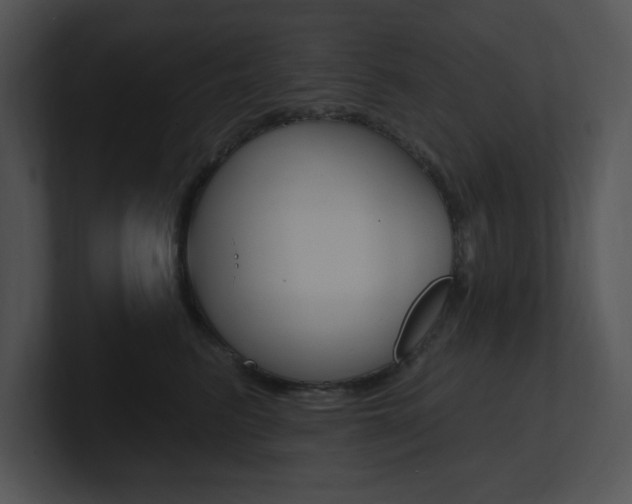X0000100960615200806241145