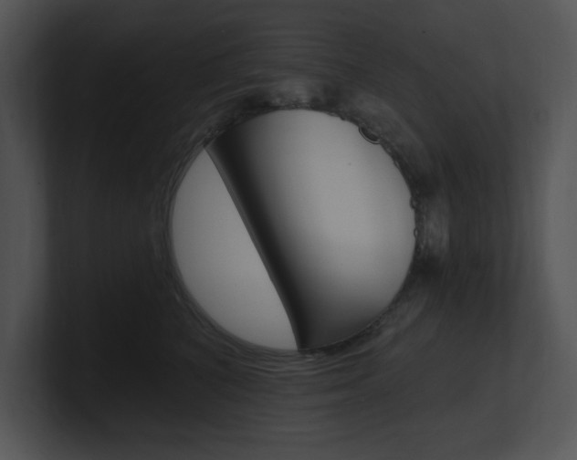 X0000100960616200806241144