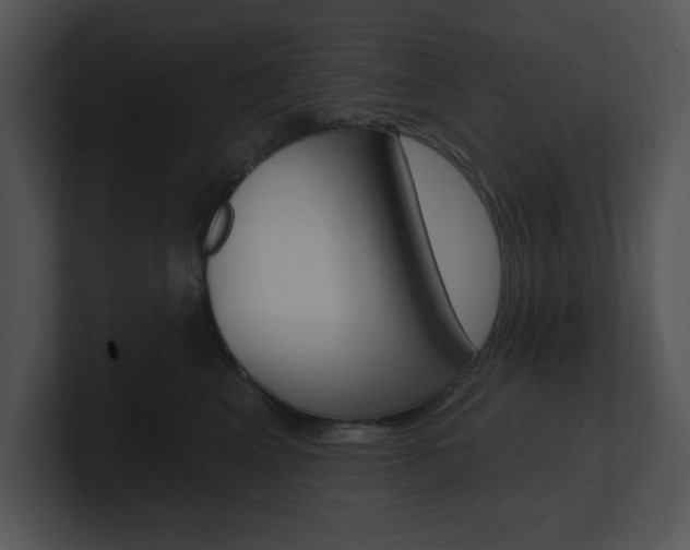 X0000100960617200806241144