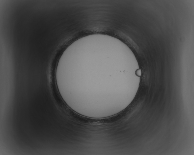 X0000100960635200806241144