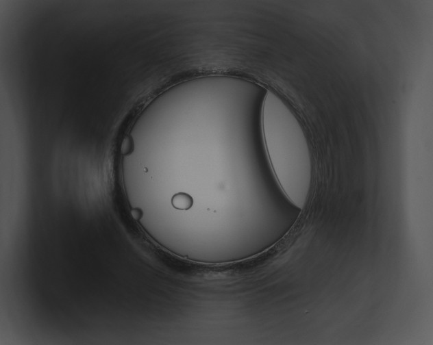 X0000100960638200806241144